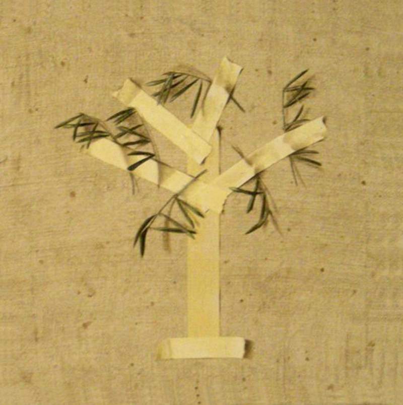 L'olivo, 2007, olio su tela, cm. 50 x 50